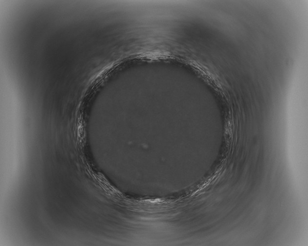 X0000116861398200912291250