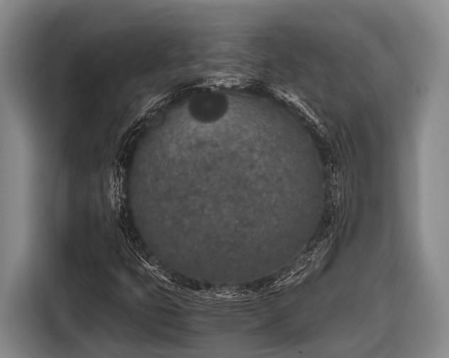 X0000116861399200912291250
