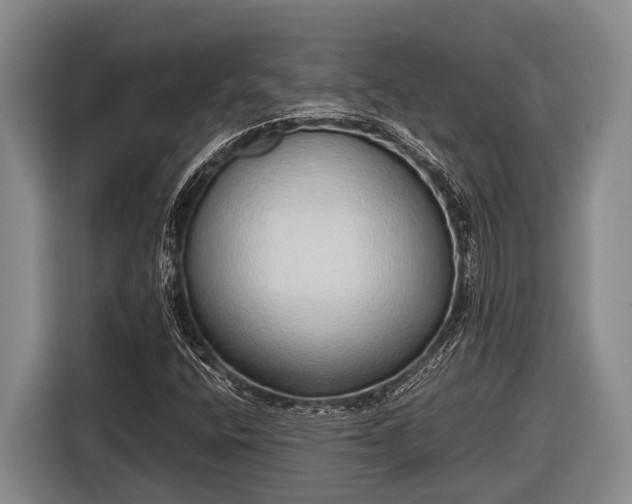 X0000116861400200912291250