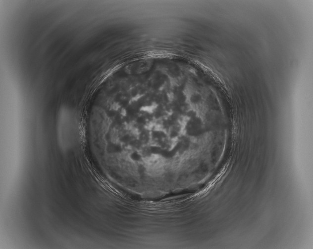 X0000116861401200912291250