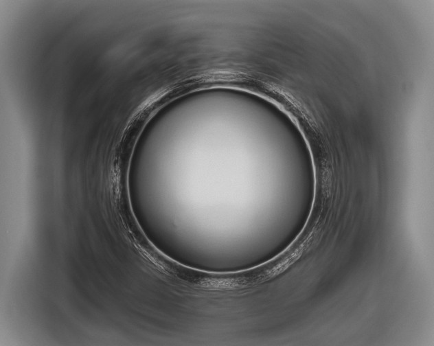 X0000116861402200912291250