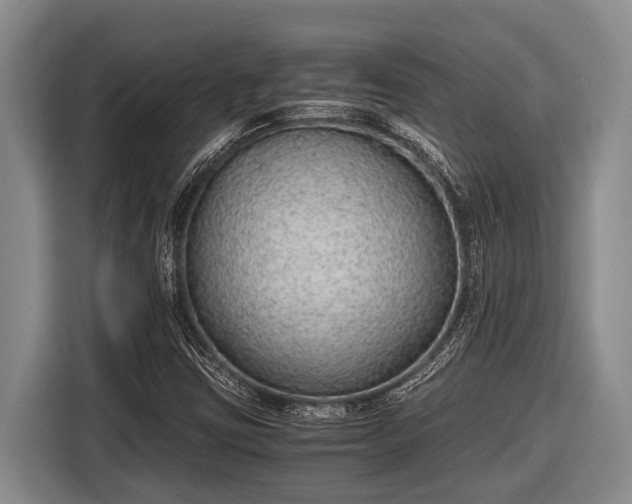X0000116861403200912291251