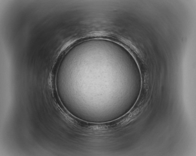 X0000116861404200912291251