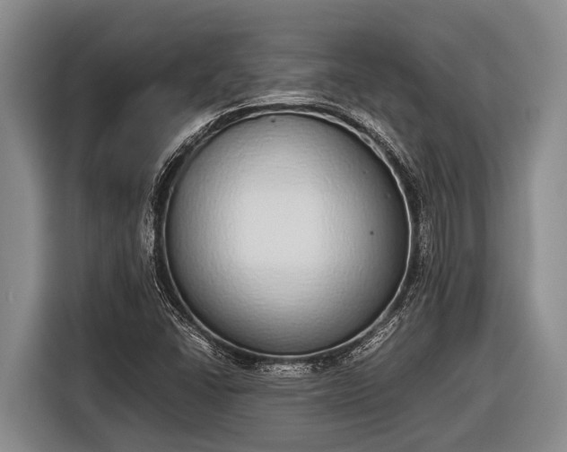 X0000116861406200912291251