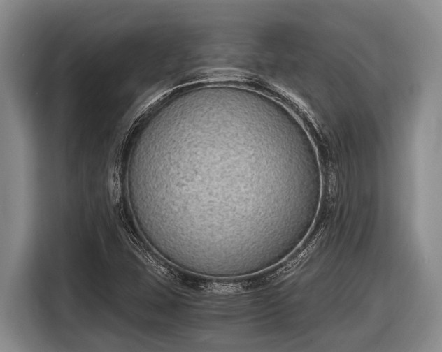 X0000116861407200912291251