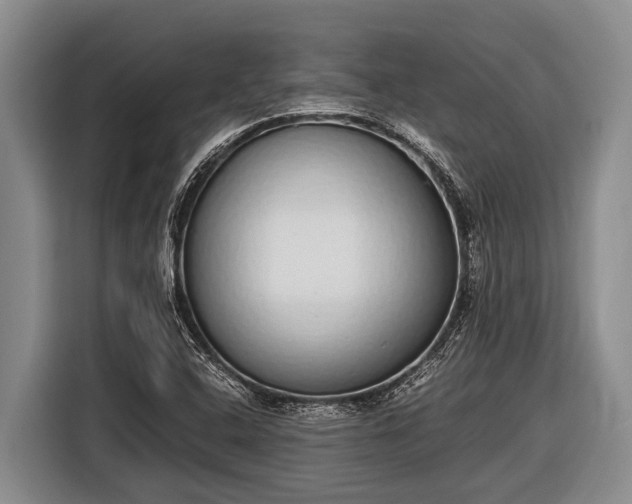 X0000116861408200912291251