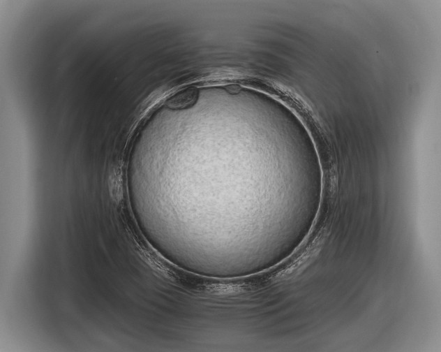 X0000116861409200912291251