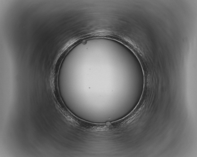 X0000116861410200912291251