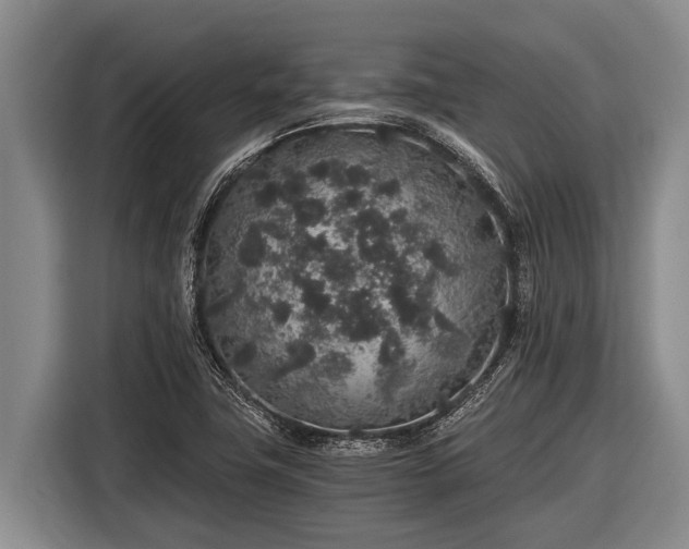 X0000116861411200912291251