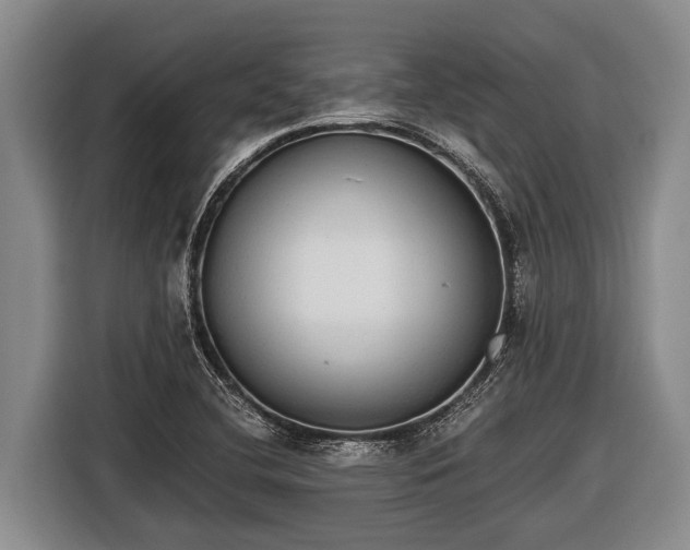 X0000116861412200912291251