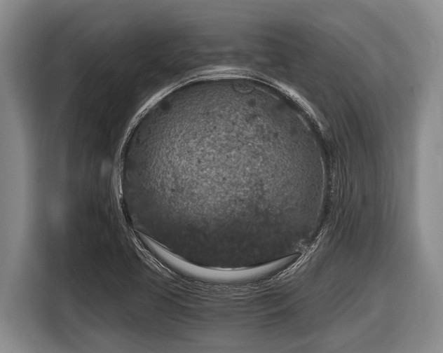X0000116861413200912291251