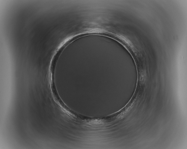 X0000116861414200912291251