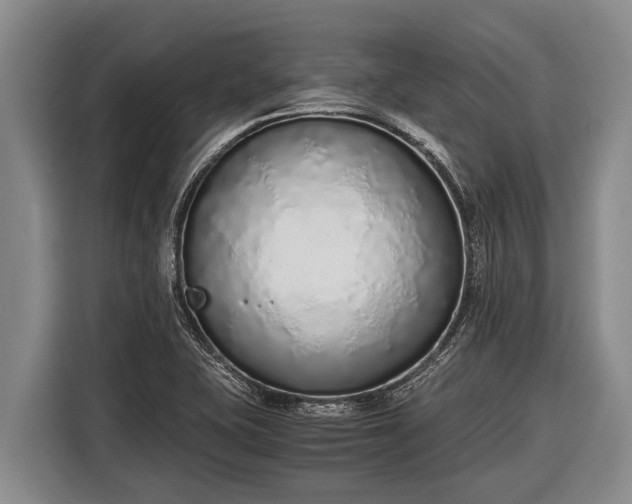 X0000116861415200912291251