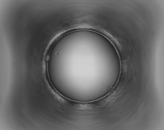 X0000116861416200912291251