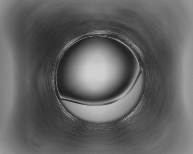 X0000116861417200912291251