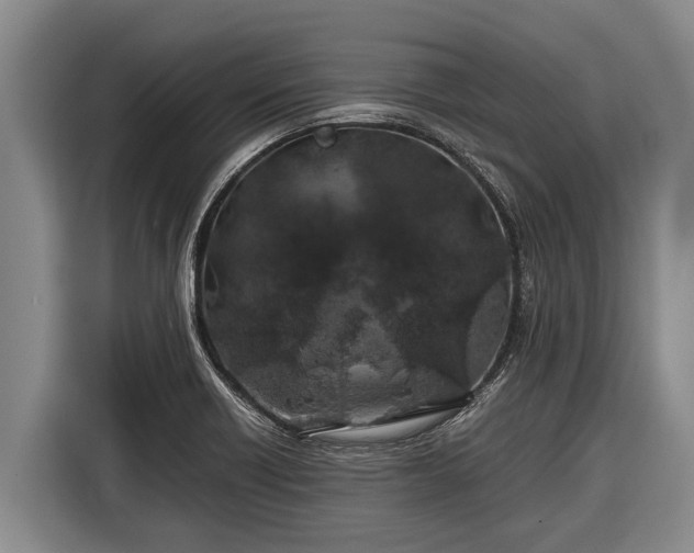 X0000116861418200912291251