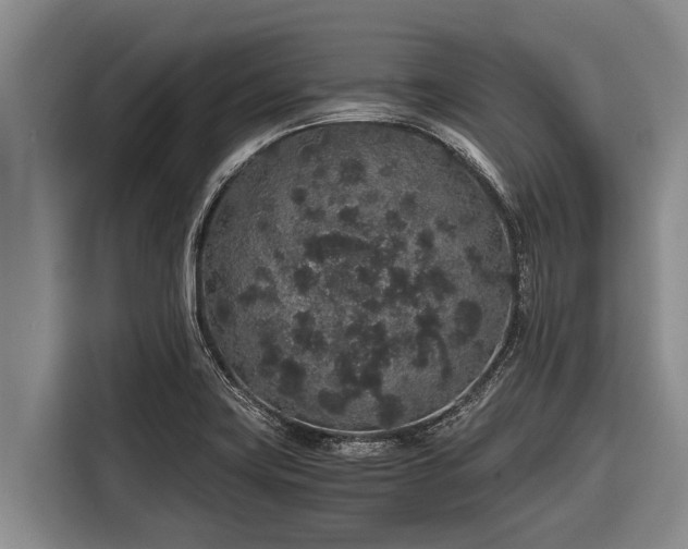 X0000116861419200912291251