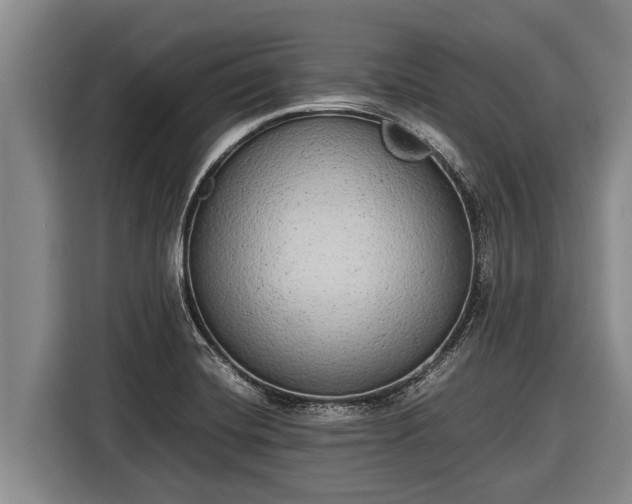 X0000116861420200912291251