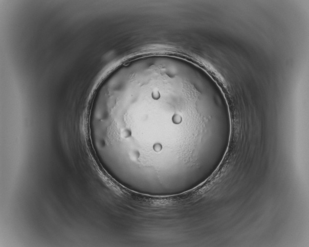 X0000116861421200912291251