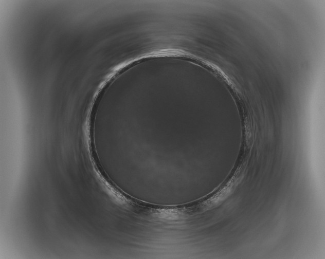 X0000116861422200912291251