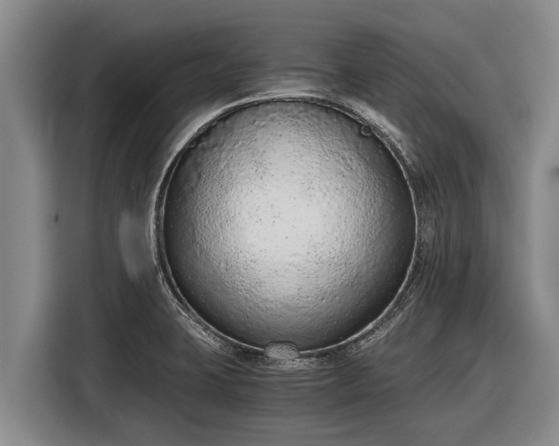 X0000116861423200912291251