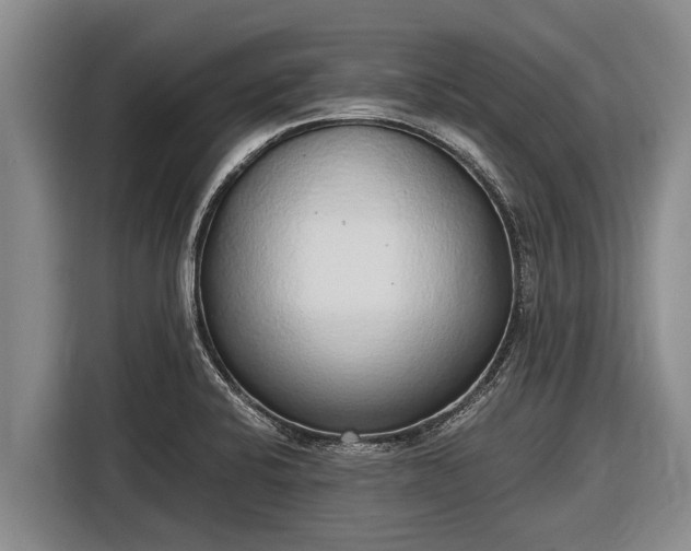 X0000116861424200912291251