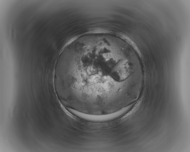 X0000116861425200912291251