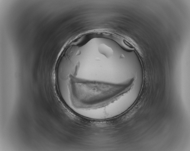 X0000116861428200912291251
