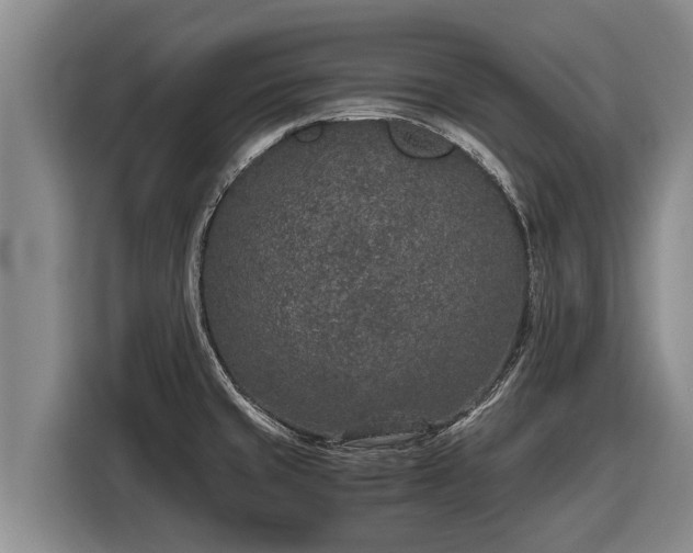 X0000116861429200912291251