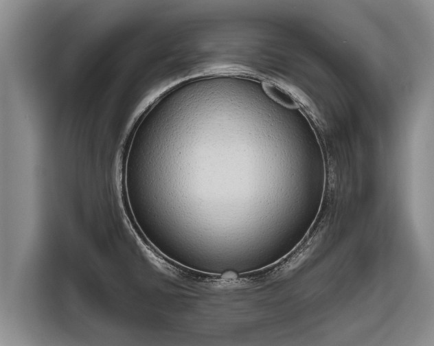X0000116861430200912291251