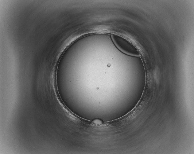 X0000116861432200912291251