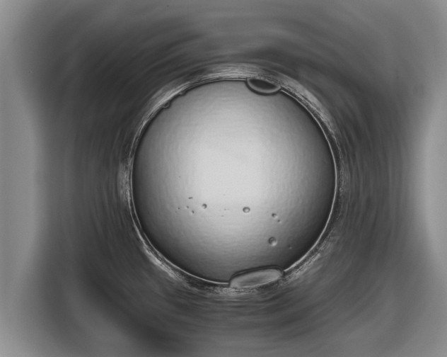 X0000116861433200912291251