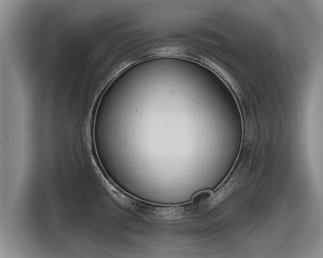 X0000116861434200912291251