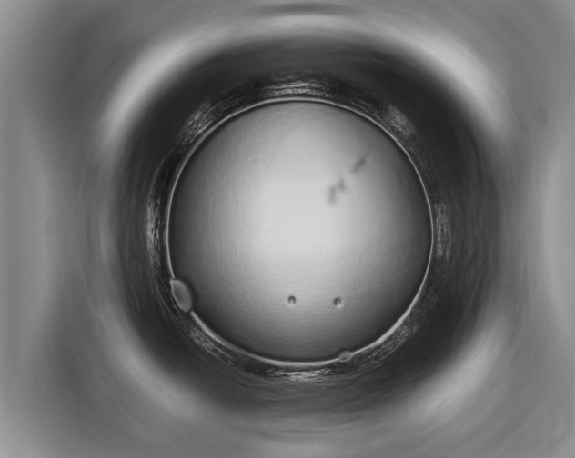 X0000116861438200912291251