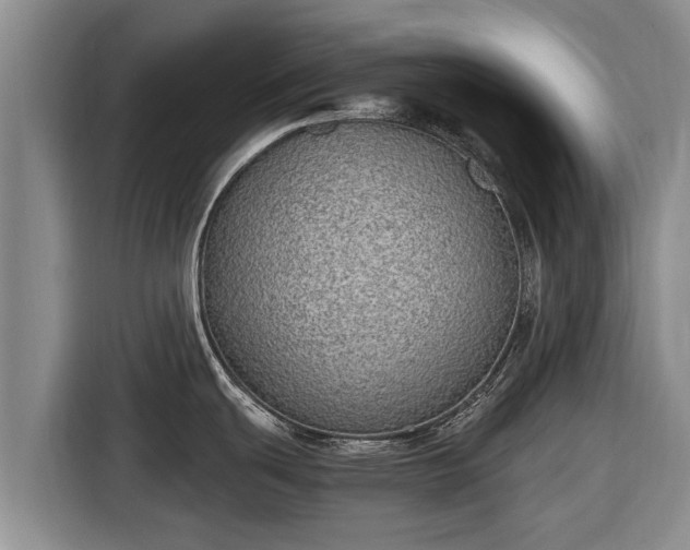 X0000116861439200912291251