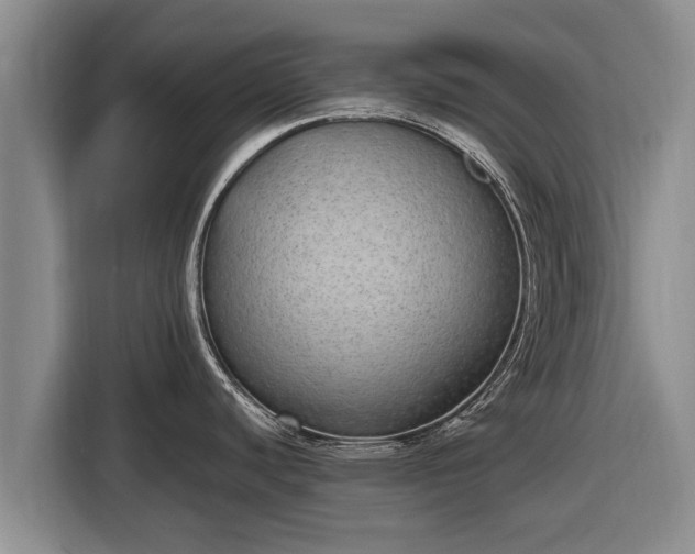 X0000116861440200912291251