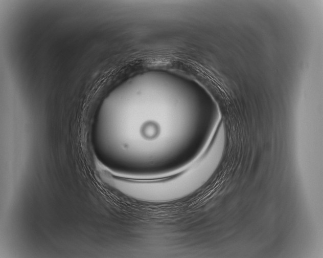 X0000116861441200912291250