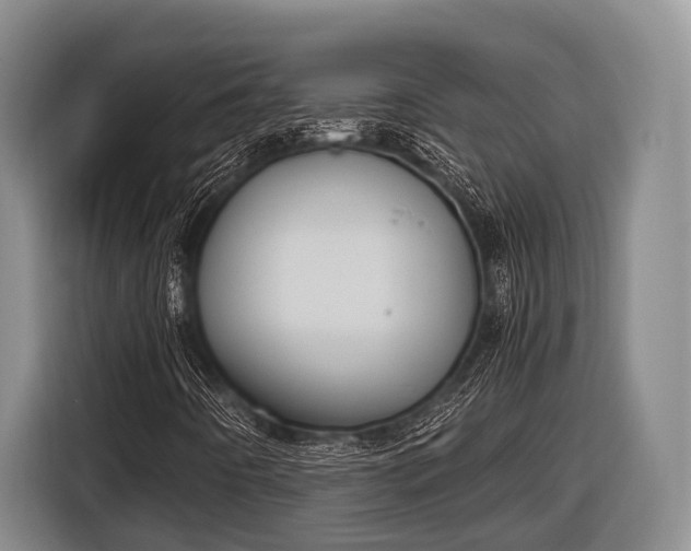 X0000116861442200912291250
