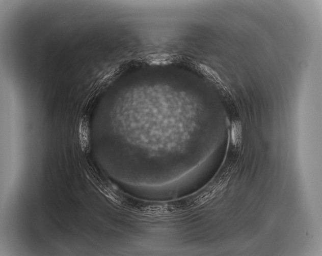 X0000116861444200912291250