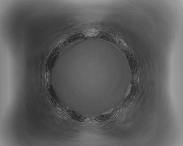 X0000116861445200912291250