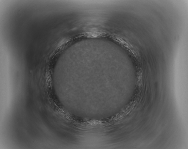 X0000116861446200912291250