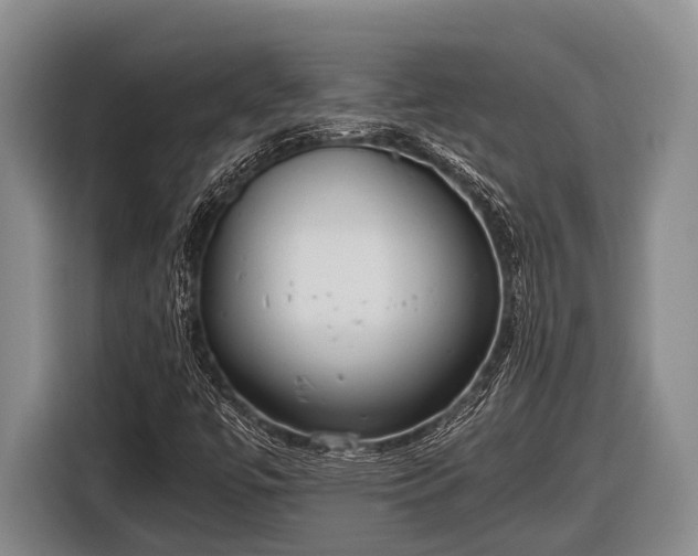X0000116861447200912291250