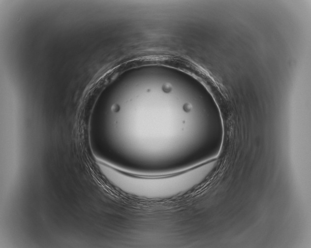 X0000116861448200912291250