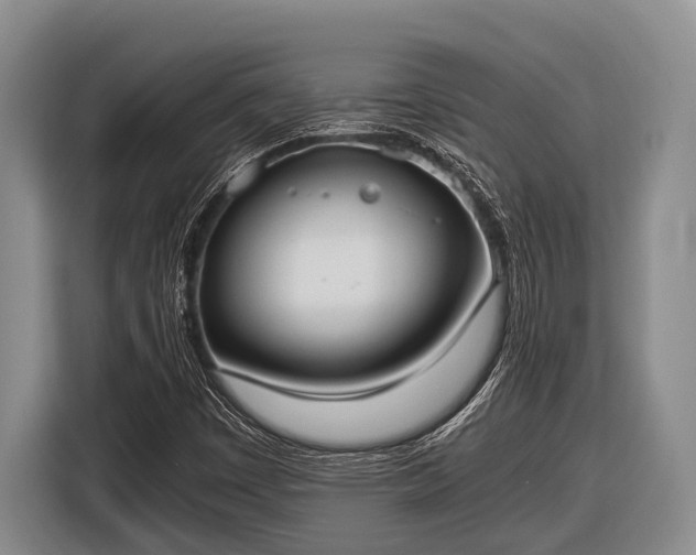 X0000116861449200912291250