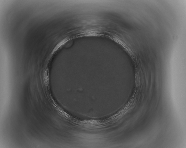 X0000116861450200912291250