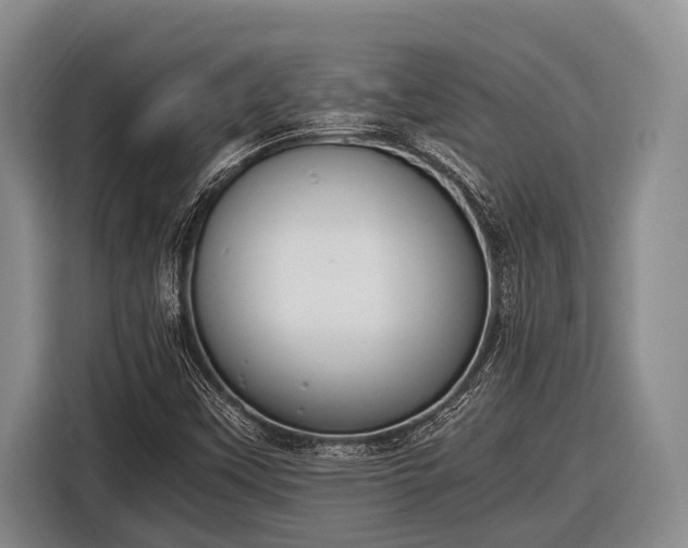 X0000116861451200912291250
