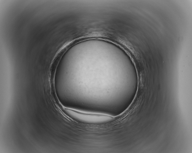X0000116861452200912291250