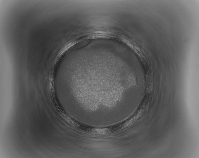X0000116861453200912291250