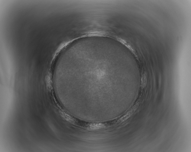 X0000116861454200912291250