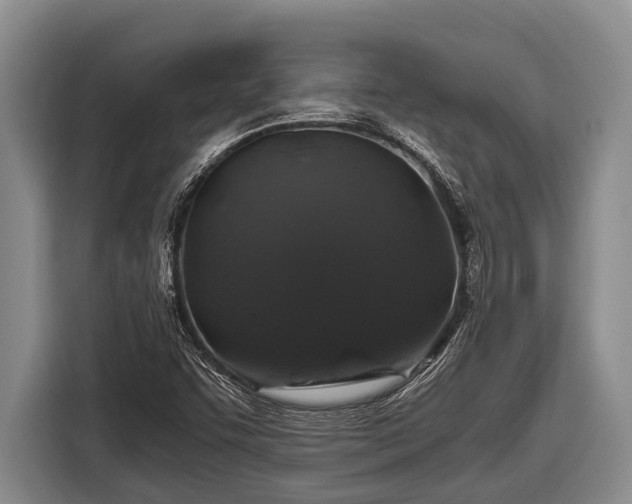 X0000116861455200912291250